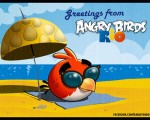 เกมส์นก ริโอ ( Angry Birds Rio )
